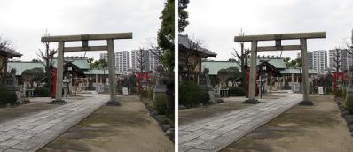 荒川石浜神社(石浜城址) 平行法3Dステレオ立体写真