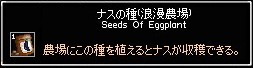 Seeds_Of_Eggplant.jpg