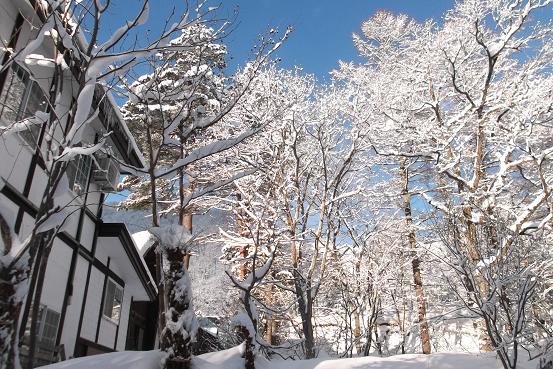 白馬山荘作りの家と雪の木立