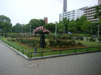 2011:6:16 横浜２５