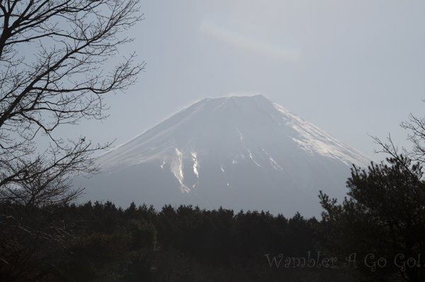 春霞の中の富士山