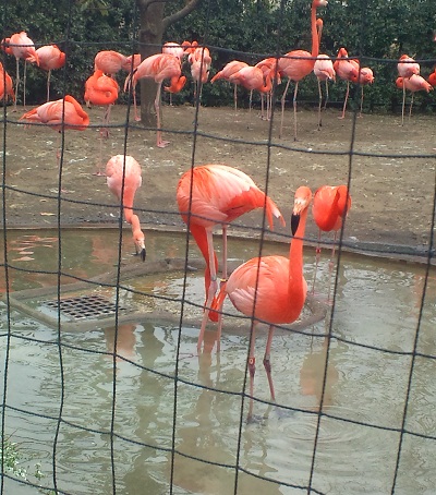 上野動物園