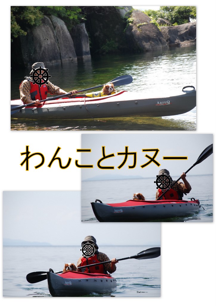 琵琶湖カヌーD806