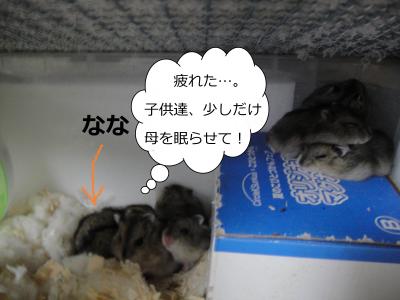 H251_convert_20131223135231.jpg