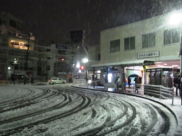 石神井公園大雪