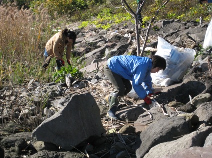 2011年12月4日（日）「干潟清掃で渡り鳥サポーターになろう！」祝★初参加者あらわれる!!⑤
