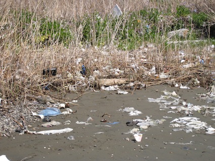 2012年4月7日（土）「干潟清掃で渡り鳥サポーターになろう！」今日は大潮!!10