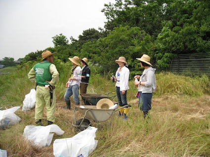 2012年6月2日（土）干潟清掃で「渡り鳥サポーターになろう！」⑦