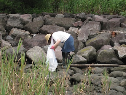 2012 年7月7日干潟清掃で「渡り鳥サポーターになろう！」⑩