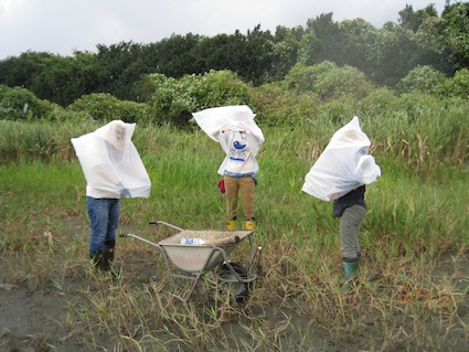 2012 年9月1日干潟清掃で「渡り鳥サポーターになろう！」⑲
