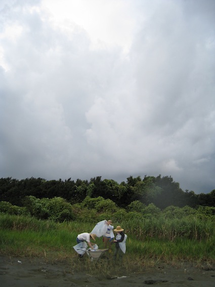 2012 年9月1日干潟清掃で「渡り鳥サポーターになろう！」⑰