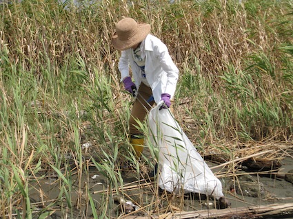 2012 年9月1日干潟清掃で「渡り鳥サポーターになろう！」⑮