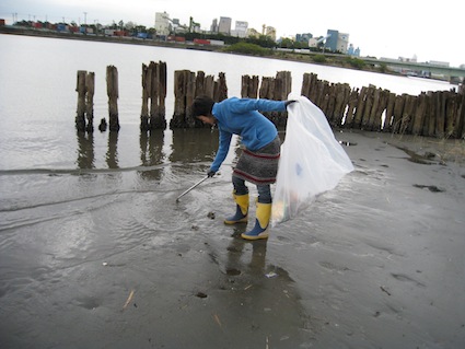 2012年11月３日干潟清掃で「渡り鳥サポーターになろう！」⑫