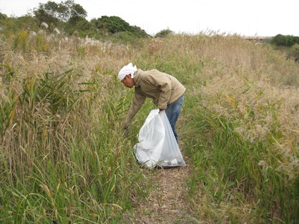 2012年11月３日干潟清掃で「渡り鳥サポーターになろう！」⑩