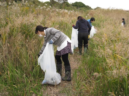 2012年11月３日干潟清掃で「渡り鳥サポーターになろう！」⑦