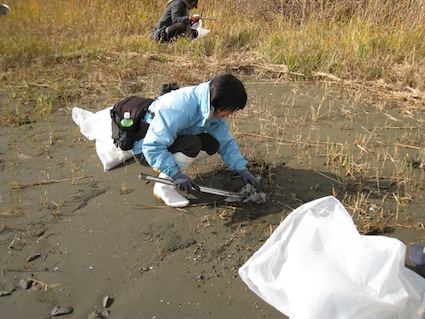 2012年12月1日干潟清掃で「渡り鳥サポーターになろう！」⑥