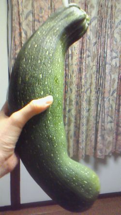 zucchini 2