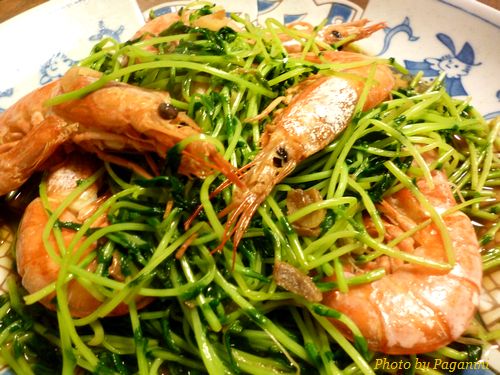 fried shrimp & bean sprout