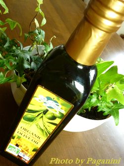 organic olieve oil
