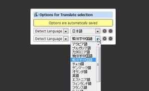 translateselection6.jpg