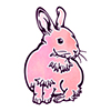 線画イラストの飼いウサギ　色付きウサギ