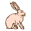 ジャックウサギのイラストレーション　うっすらぼかした輪郭　やや色付き輪郭野ウサギ