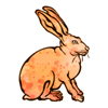 ジャックウサギのイラストレーション　水彩＆スプラッター野ウサギ