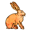 ジャックウサギのイラストレーション　水彩＆スプラッター＆ドット野ウサギ