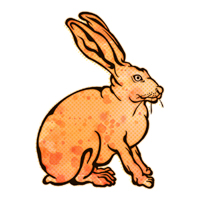 ノウサギ　Hare　ジャックウサギのイラストレーション　野うさぎ