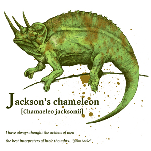 ジャクソンカメレオンのペン画 ジョン・ロック 言葉 名言