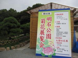 明石公園菊花展覧会