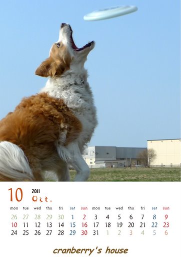 カレンダー10月