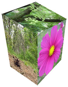 立方体・箱の作り方