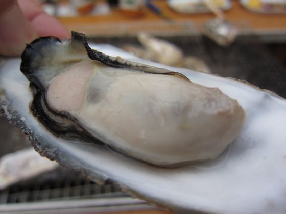 今年も人気の牡蠣小屋『牡蠣ののぶりん』で牡蠣たべまくり in 九州福岡糸島志摩岐志漁港7