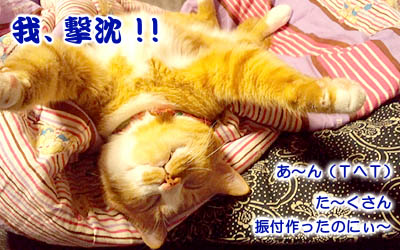 ゆず丸に気持ちを投影