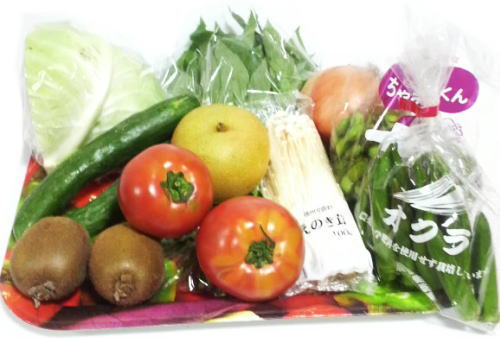 らでぃっしゅぼーや【有機野菜と無添加食品の宅配サービス】
