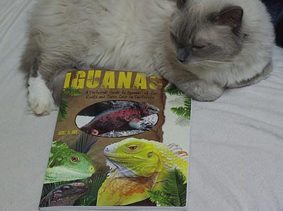 Iguanas, a Pictorical Guide to Iguanas of the World and Their Care in Captivity