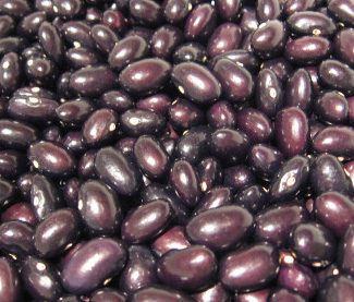 トロサ豆