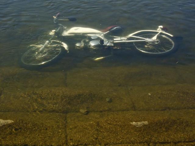 川に沈む自転車939