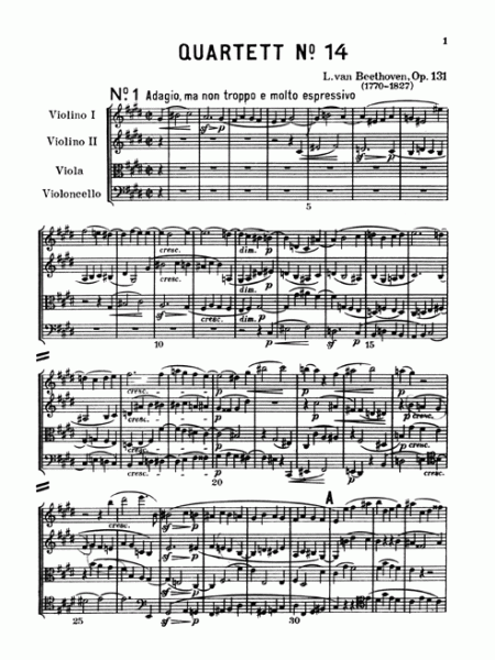 Beethoven_String Quartet_No14_Op-131_p1