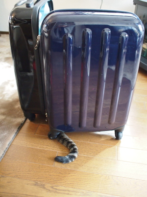 にゃおとスーツケース１
