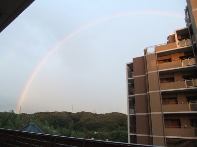 お庭から見た虹