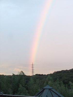 お庭から見た虹３
