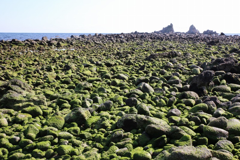 緑色の三ツ石海岸