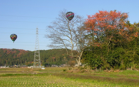 琵琶湖横断熱気球大会