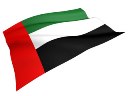 UAE国旗（小)