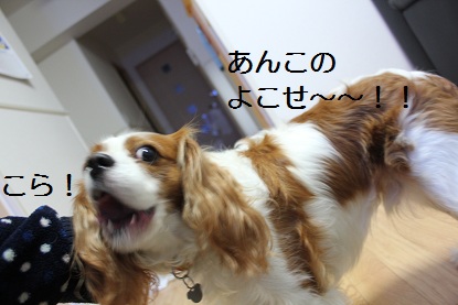 0203ブログ11