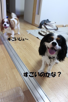0809ブログ7