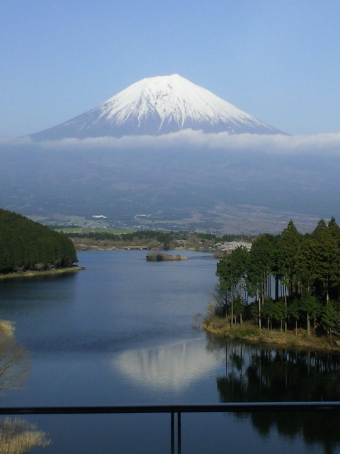 静岡　富士宮　そば　ブログ　本手打ちそば　蕎友館　田貫湖から　富士山