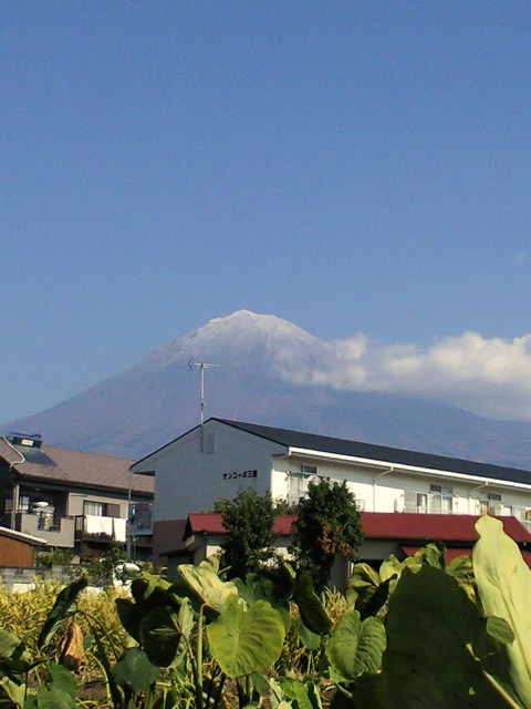 静岡　富士宮　そば　ブログ　本手打ちそば　蕎友館　１１月の富士山